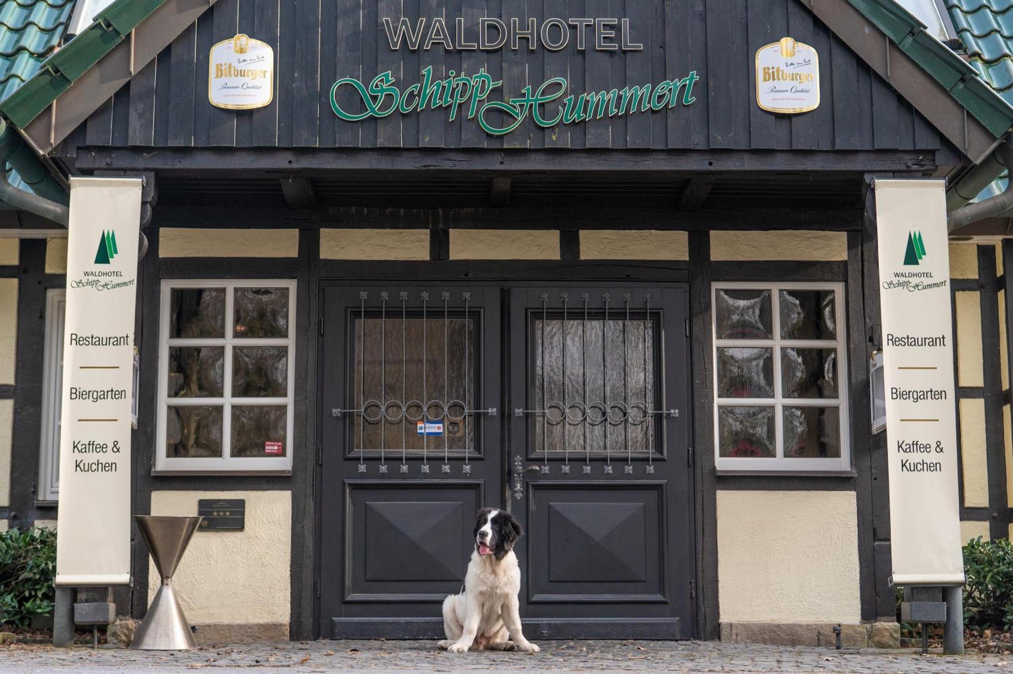Waldhotel Schipp-Hummert Emsdetten Esterno foto